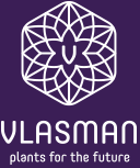 vlasman logo kl